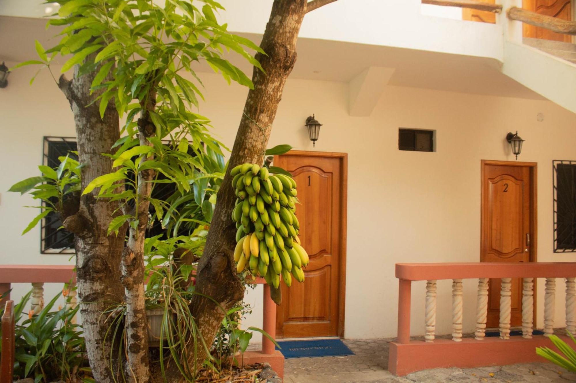 Hotel Casa De Nelly Puerto Baquerizo Moreno Exterior foto